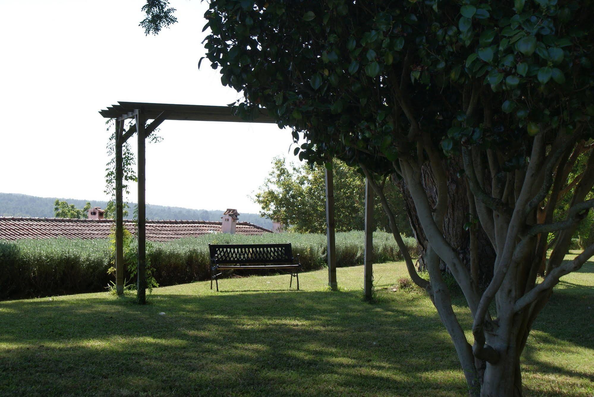 Quinta Do Paco D'Anha Guest House Viana do Castelo Exterior foto